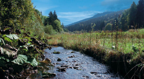 Der Mord an Miguel A. (23): Grausames Spiegelbild einer gleichgültigen Gesellschaft, die zunehmend verwahrlost
