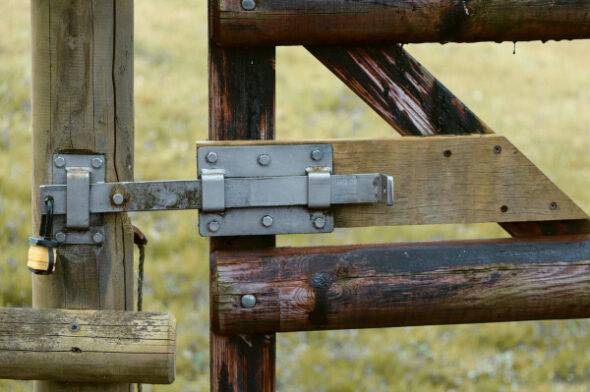 Brandmauer und Aufmucken: Wenn das Imperium zurückschlägt….