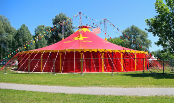 Dompteurin im Bundestags-Zirkus: Welche Regeln sind akzeptabel für freie Abgeordnete?